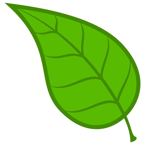 cartoon leaves|leaves cartoon images free.